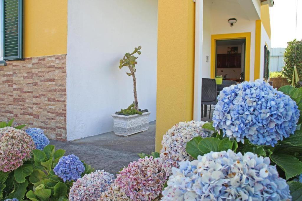 Vila Casas Da Boa Vista Horta  Exteriér fotografie