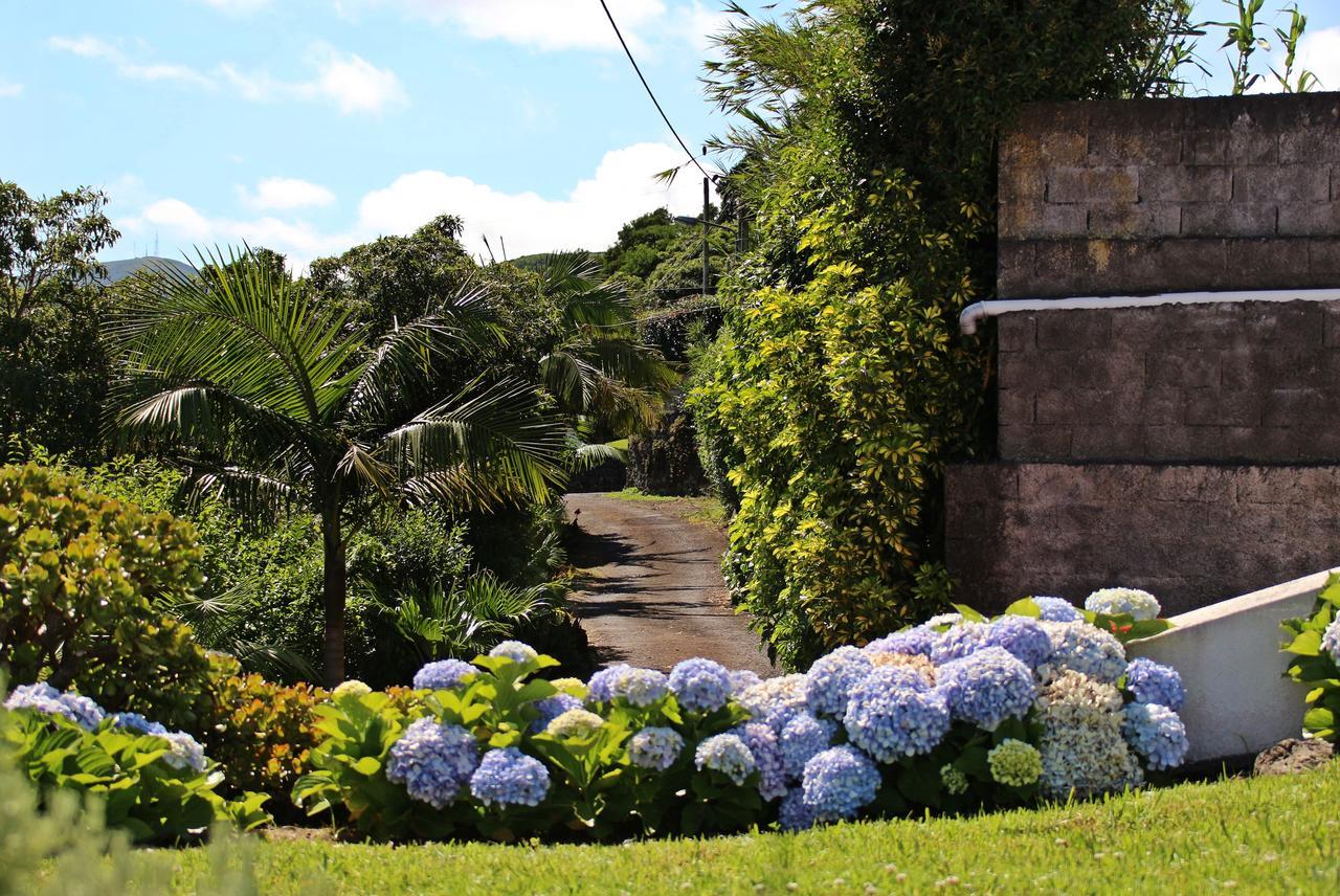 Vila Casas Da Boa Vista Horta  Exteriér fotografie